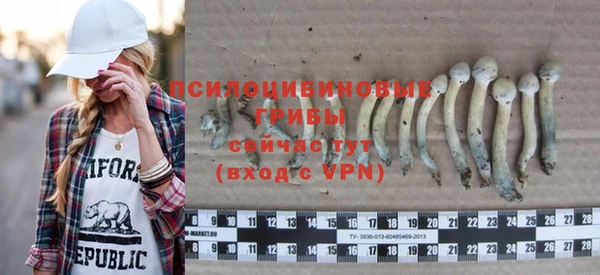 круглые Аркадак