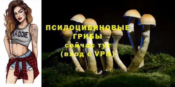 круглые Аркадак