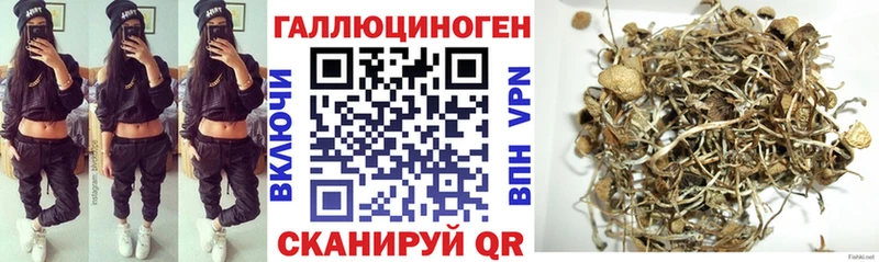 Псилоцибиновые грибы мицелий Луза